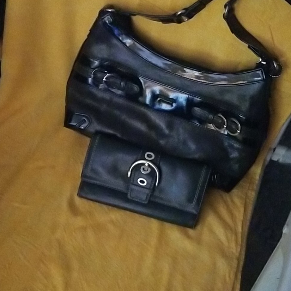 Tuscan purse & Coach wallet